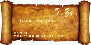 Trieber Zsombor névjegykártya